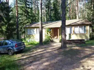 Zaliv - 51