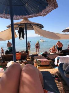 Dive Inn Resort - 47