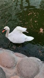 Shik Village Resort & Spa - 41