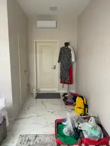 Пальмира - 69