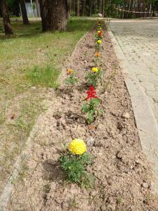 Березина (Минская обл.) - 28