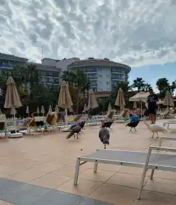 Seaden Sea World Resort & Spa - 11