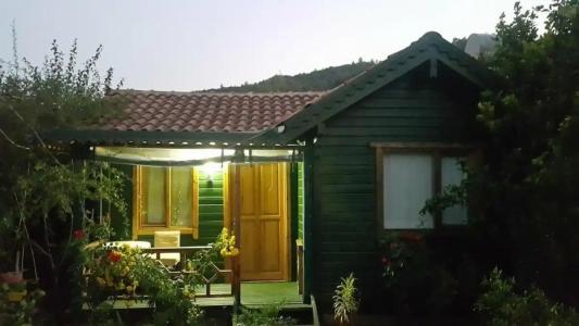 Turkuaz Bungalows - 4