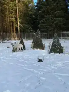 Park-Torbeevo Ozero - 31