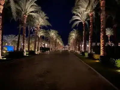 Sentido Reef Oasis Aqua Park Resort - 9