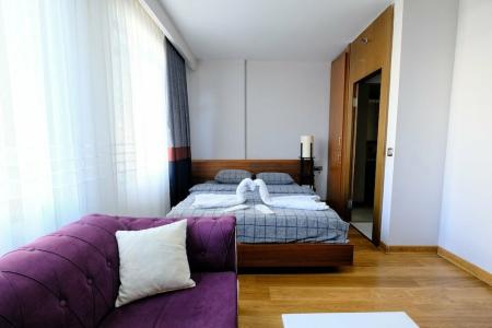 Sabi̇ha Gokcen İstanbul House - 5