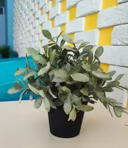 MoreLeto All Inclusive - 40