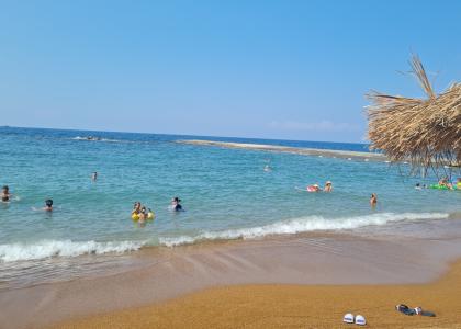 Rubi Platinum Sign - 46