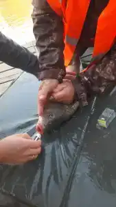 Ulovo Recreation Center - 28