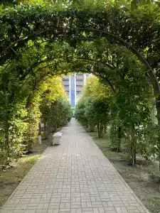 Метрополь Гранд Геленджик - 11