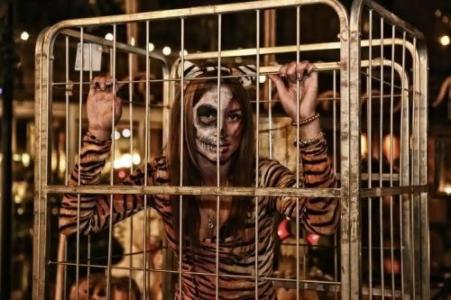 Anjeliq House Boutique - 91