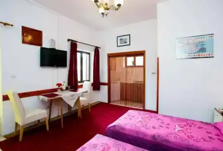 Guest House Cesic - 12