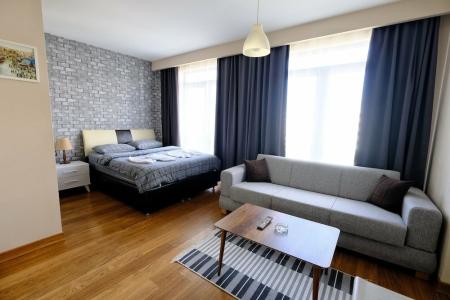 Sabi̇ha Gokcen İstanbul House - 1
