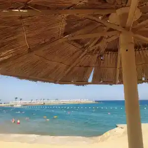 Beach Albatros Resort - 87