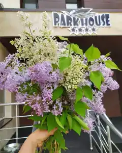 Parkhouse Kokshetau - 15