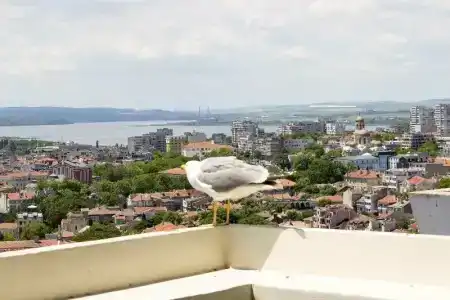 & Casino Cherno More - 61