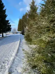 Park-Torbeevo Ozero - 49