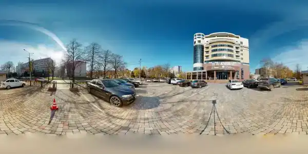 Платан Южный - 13