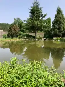 Agrousadba Pelika - 19