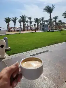 Beach Albatros Resort - 51