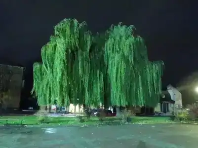 Gostinitsa Rossiya - 12