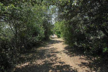 Masseria Berzario - 15