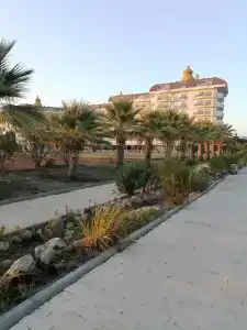 Asteria Bloom Side - 24