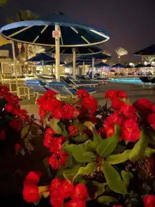 Pickalbatros Dana Beach Resort - Aqua Park - 22