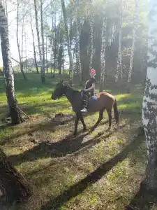 Belaya loshad Tourist base - 17