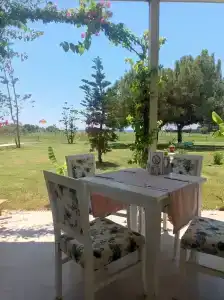 Asteria Bloom Side - 6