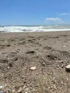 Elysium Elite&Spa - 73