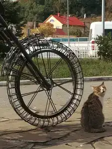 Atriya Mini-Hotel - 13