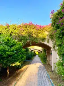 Spice & Spa All Inclusive - 16