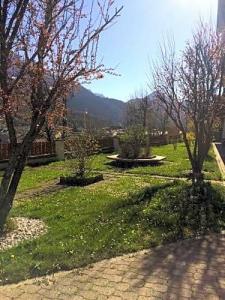 Capriolo - 4