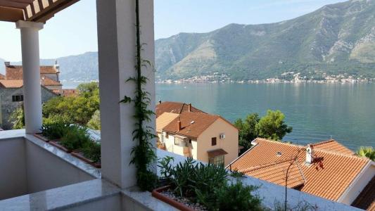 Villa Olivia - 0