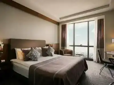 Radisson Blu Ankara Cankaya - 3