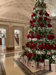 Four Seasons Lion Palace - 24