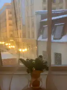 "Братья Карамазовы" - 24