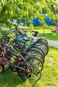 Агроусадьба Здоровей - 12