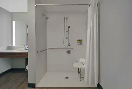 Holiday Inn Express HOUSTON - GALLERIA AREA by IHG - 21