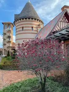 Old House Resort & SPA - 49