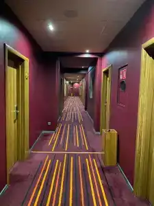 Best Western Plus Centre - 46