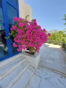 Cataract Resort Naama Bay - 29