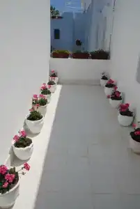 Bitez Corner Boutique - 8