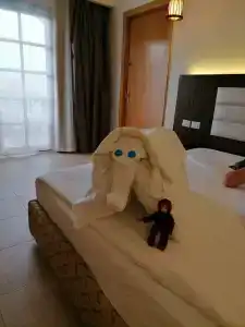 Pickalbatros Jungle Aqua Park - Neverland - 51