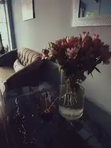 Provans Boutique - 36