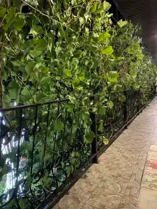 Nochnoy Kvartal - 42