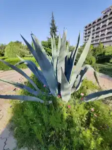 Planeta Sanatorium - 41