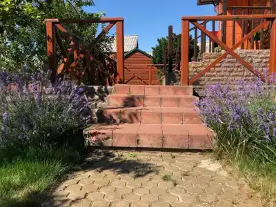 Agrousadba Pelika - 1