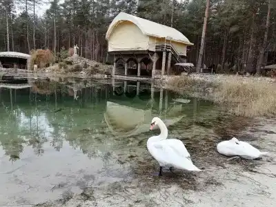 Lesnaya skazka - 89